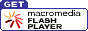 Shockwave Flash �v���O�C��
